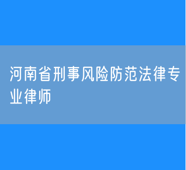 河南省刑事风险防范法律专业律师