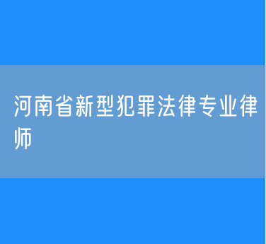 河南省新型犯罪法律专业律师