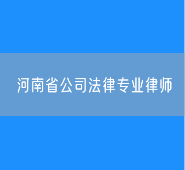 河南省公司法律专业律师