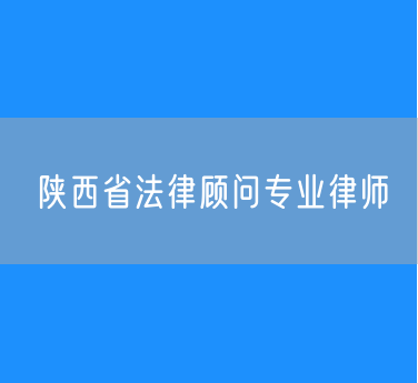 陕西省法律顾问专业律师