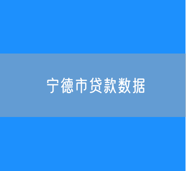 2024年宁德市贷款数据