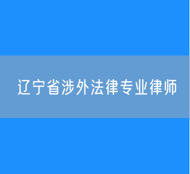 辽宁省涉外法律专业律师