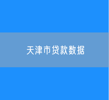 2024年天津市贷款数据