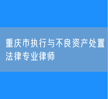 重庆市执行与不良资产处置法律专业律师