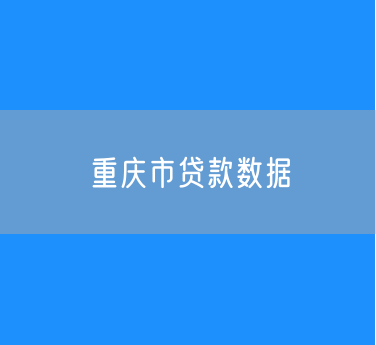 2024年重庆市贷款数据