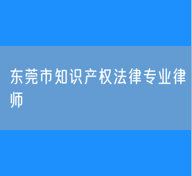 东莞市知识产权法律专业律师
