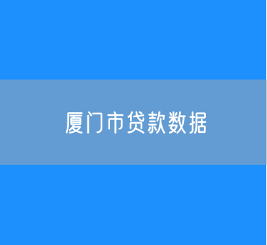 2024年厦门市贷款数据
