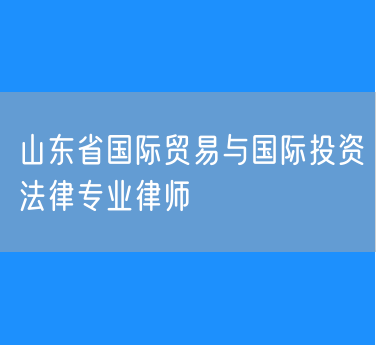 山东省国际贸易与国际投资法律专业律师