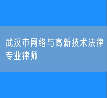 武汉市网络与高新技术法律专业律师