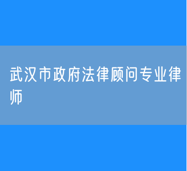 武汉市政府法律顾问专业律师