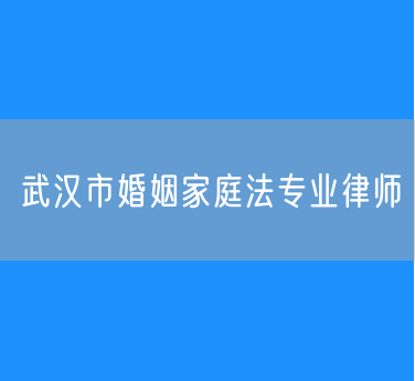 武汉市婚姻家庭法专业律师