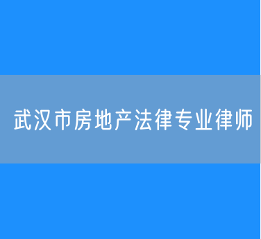 武汉市房地产法律专业律师