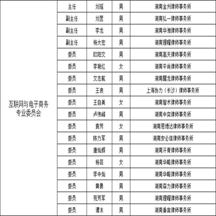 长沙市互联网与电子商务专业律师