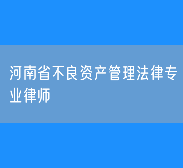 河南省不良资产管理法律专业律师