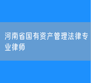 河南省国有资产管理法律专业律师