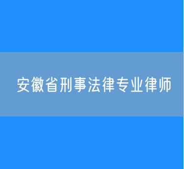 安徽省刑事法律专业律师