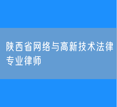 陕西省网络与高新技术法律专业律师
