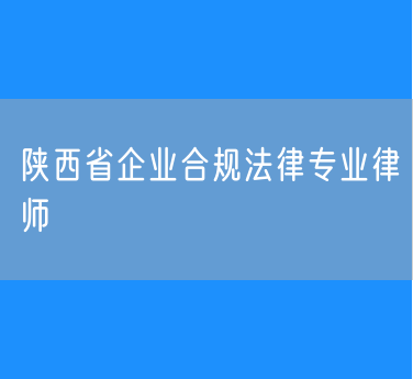陕西省企业合规法律专业律师