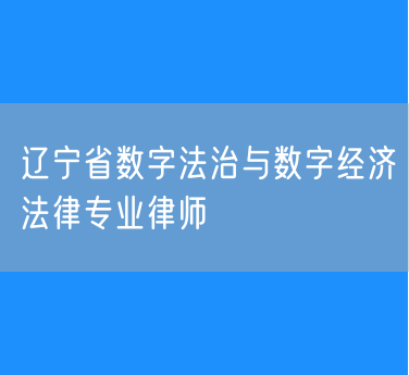 辽宁省数字法治与数字经济法律专业律师