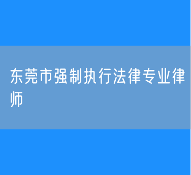 东莞市强制执行法律专业律师