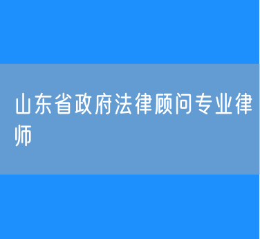 山东省政府法律顾问专业律师