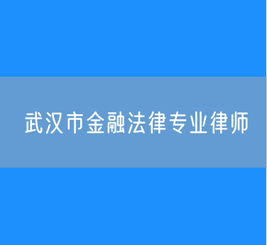 武汉市金融法律专业律师