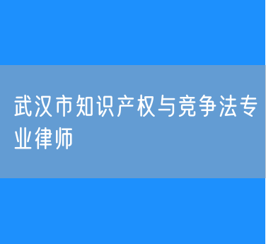 武汉市知识产权与竞争法专业律师