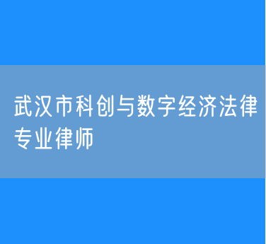 武汉市科创与数字经济法律专业律师