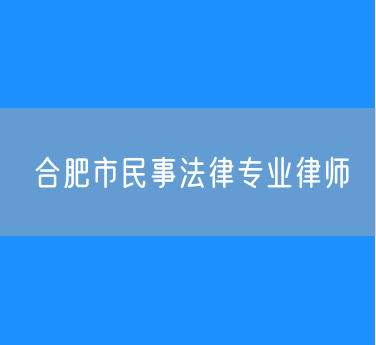 合肥市民事法律专业律师