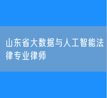 山东省大数据与人工智能法律专业律师