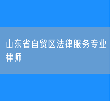 山东省自贸区法律服务专业律师