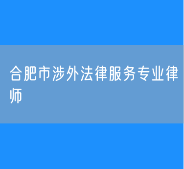 合肥市涉外法律服务专业律师