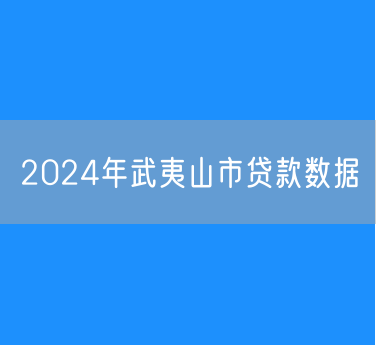 2024年武夷山市贷款数据