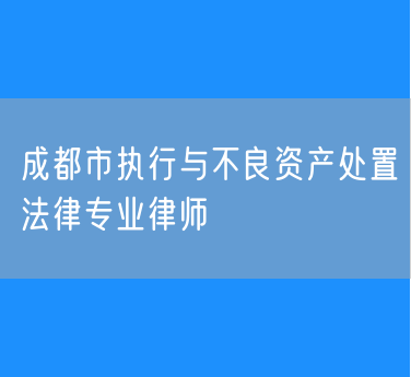 成都市执行与不良资产处置法律专业律师