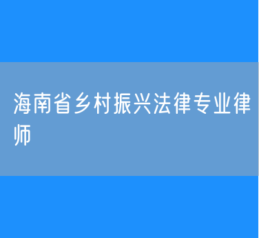 海南省乡村振兴法律专业律师