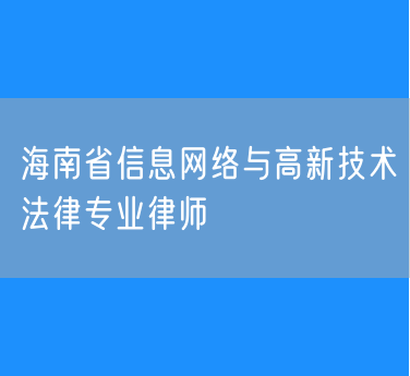 海南省信息网络与高新技术法律专业律师