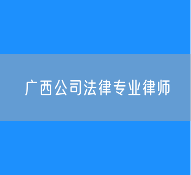 广西公司法律专业律师