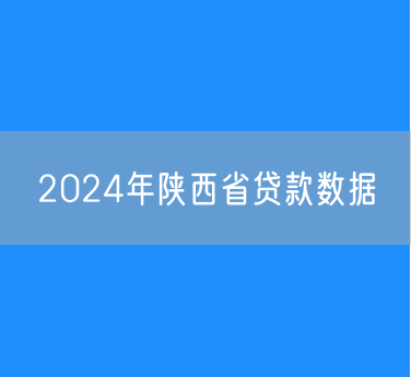 2024年陕西省贷款数据