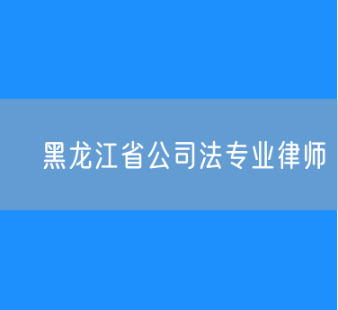 ​黑龙江省公司法专业律师