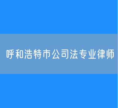 呼和浩特市公司法专业律师