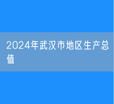 2024年武汉市地区生产总值（GDP）21106.23亿人均地区生产总值153037元