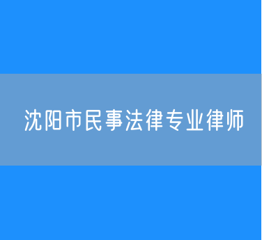沈阳市民事法律专业律师