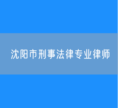 沈阳市刑事法律专业律师