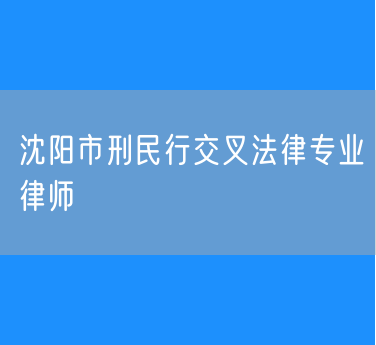 沈阳市刑民行交叉法律专业律师