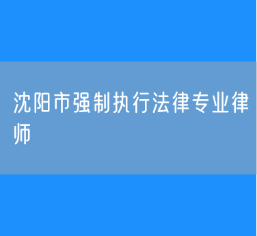 沈阳市强制执行法律专业律师