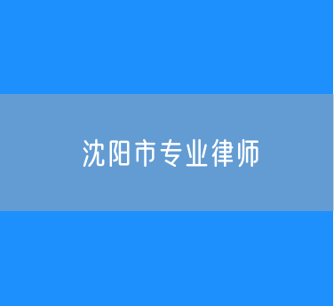 沈阳市专业律师