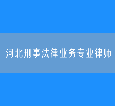 廊坊市刑事法律业务专业律师
