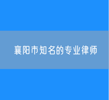 襄阳市知名的专业律师