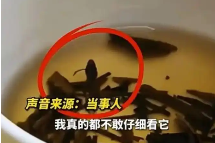 奈雪小盒茶内喝出整只青蛙——《中华人民共和国食品安全法》