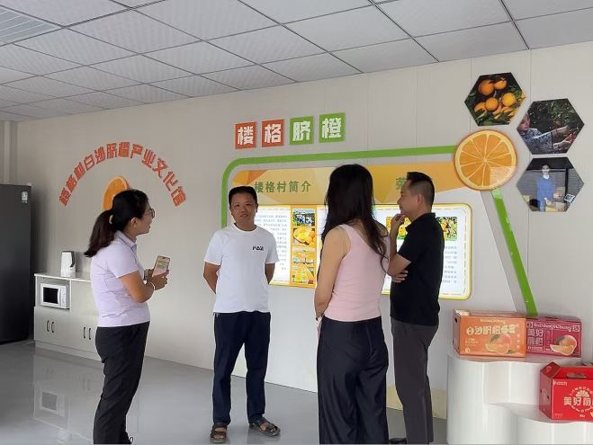 融商强技·走百企 | 新华都商学院与AI新媒体专家赴白沙镇调研